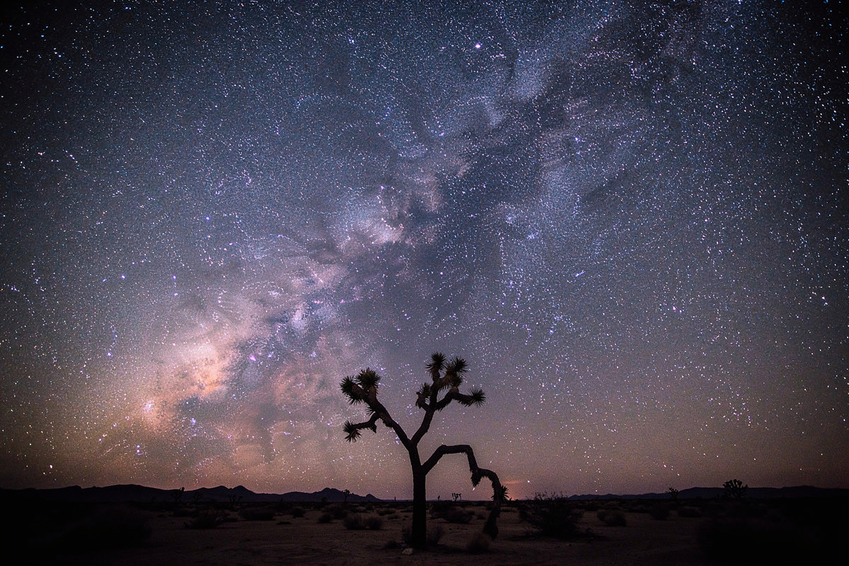 Milky Way galaxy core captured at 24mm focal length over a desert landscape