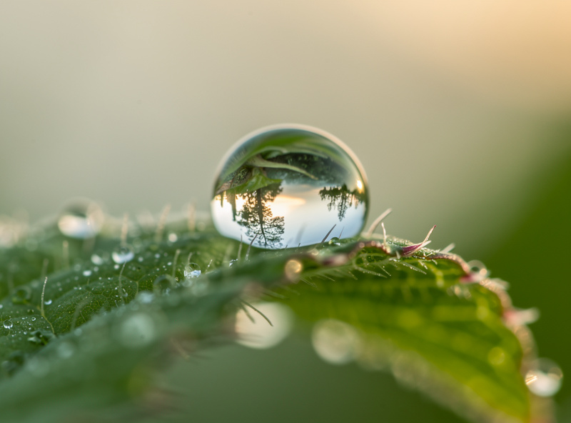 Close-up macro photograph of a dewdrop on a flower petal showing extreme detail and shallow depth of field captured with a 100mm macro lens
