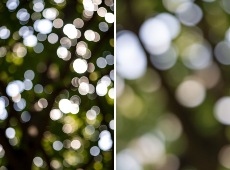 Comparison of busy hard-edged out-of-focus foliage versus smooth creamy melted blur