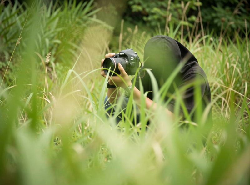Photographer crouching to shoot a subject through tall out-of-focus grass veiling the bottom of the frame